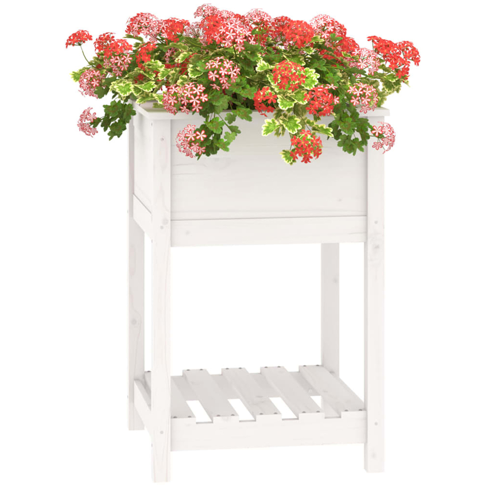 vidaXL White Solid Pine Outdoor Planter with Shelf 55 x 54 x 81cm Image 3