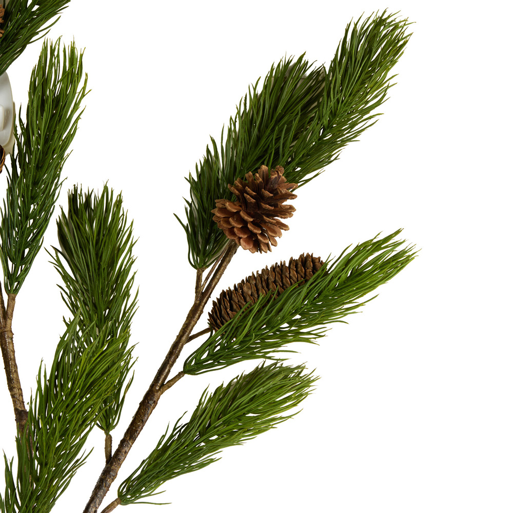 Natural Pinecone Branch Image 3