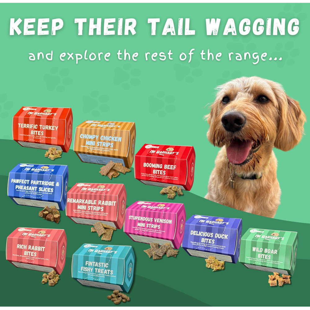 Mr Barnaby's Wild Boar Bites Dog Treats 2 Pack Image 8