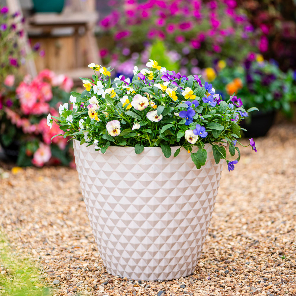 Thompson & Morgan Stone Ivory Diamond Planter 35 x 39.5cm Image 2