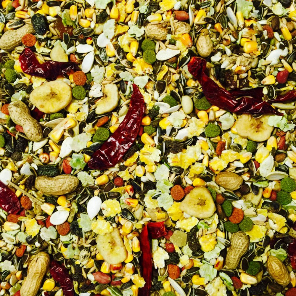 Bucktons Elite Parrot Bird Seed 12.75kg Image 2