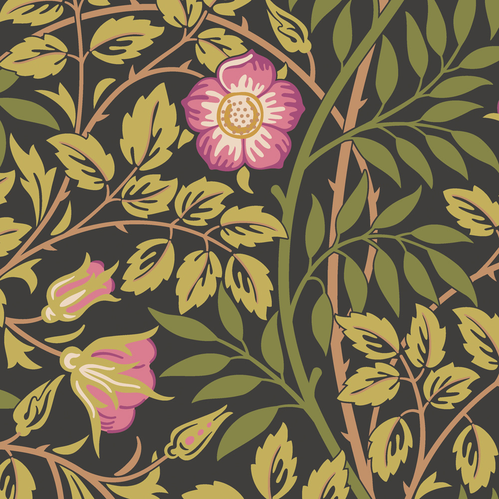 Hoopla Walls Rosehip Trail Aubergine Non Woven Wallpaper Image 1