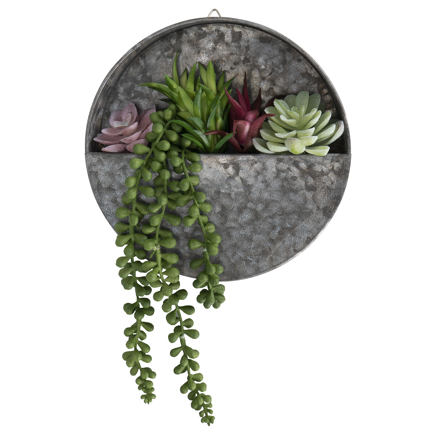 Succulent Wall Hanging Artificial Plant Image 1