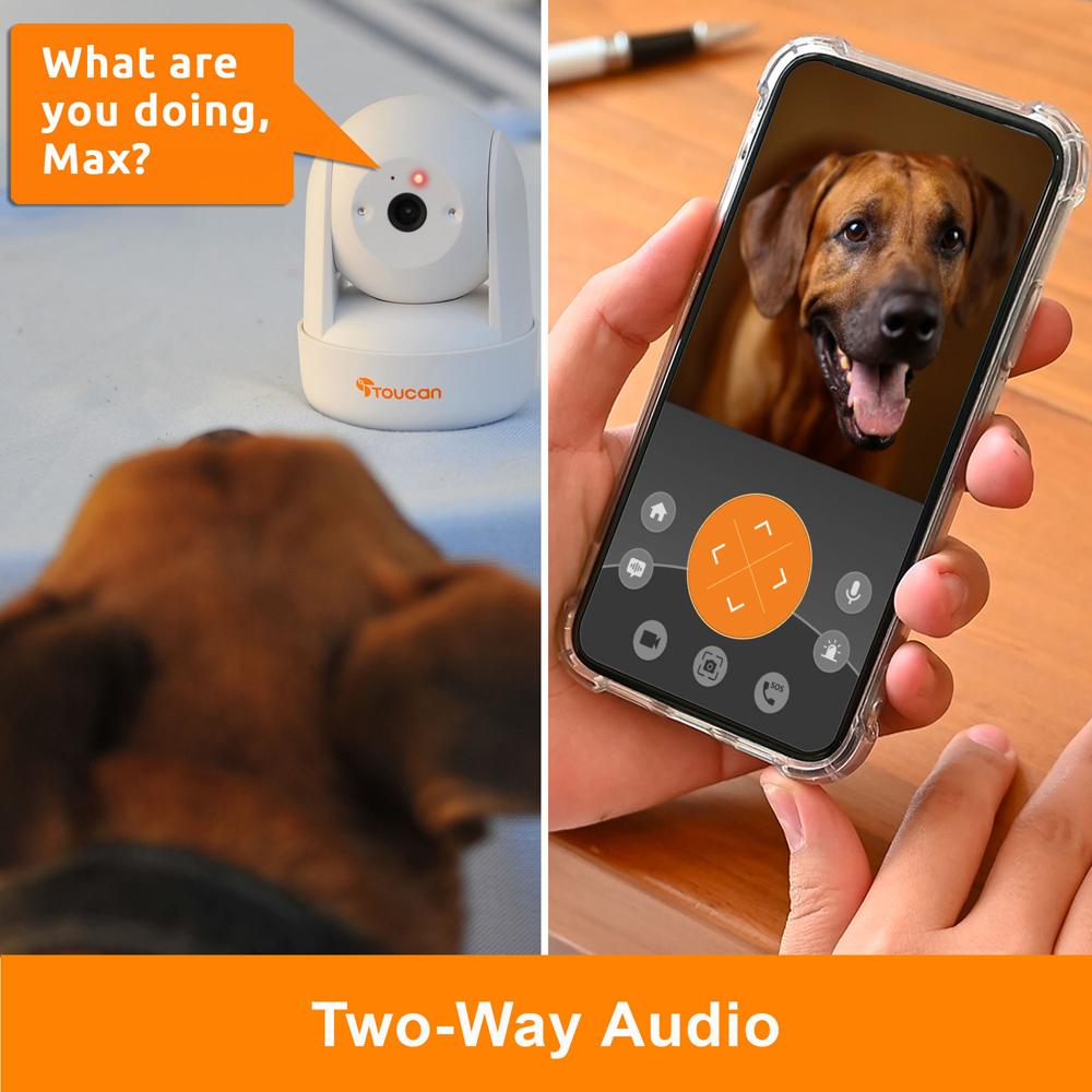 Toucan V3 Video Doorbell with S4 Security Camera and Seek Pan and Tilt Camera Image 5