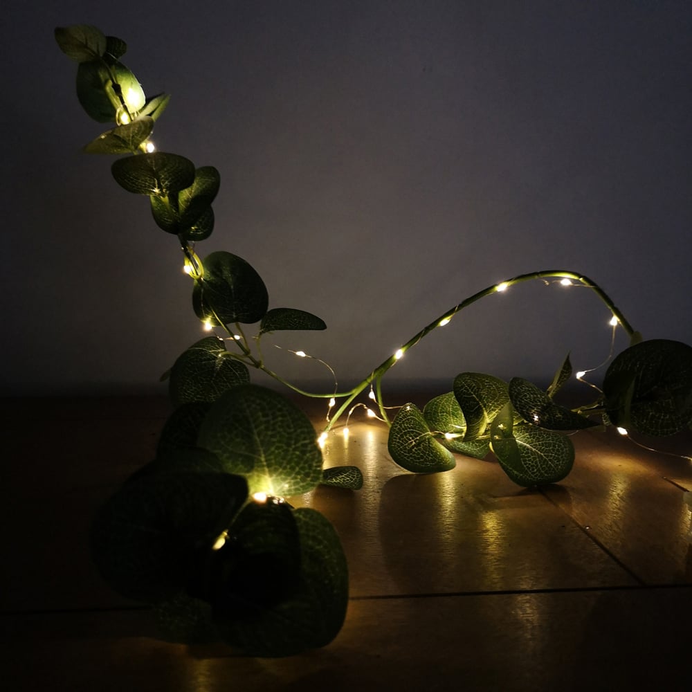 Premier MicroBrights 50 Warm White LED Pin Wire Micro String Light 2.5m Image 4