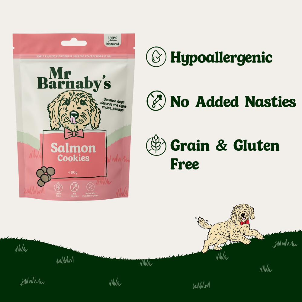 Mr Barnaby's Salmon Cookies 80g 2 Pack Image 5