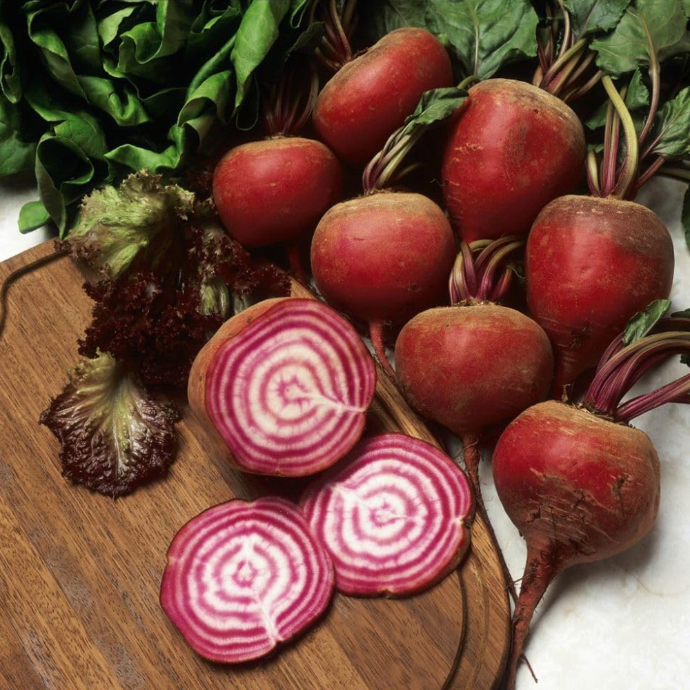 Thompson & Morgan Beetroot Chioggia Seeds Image 2