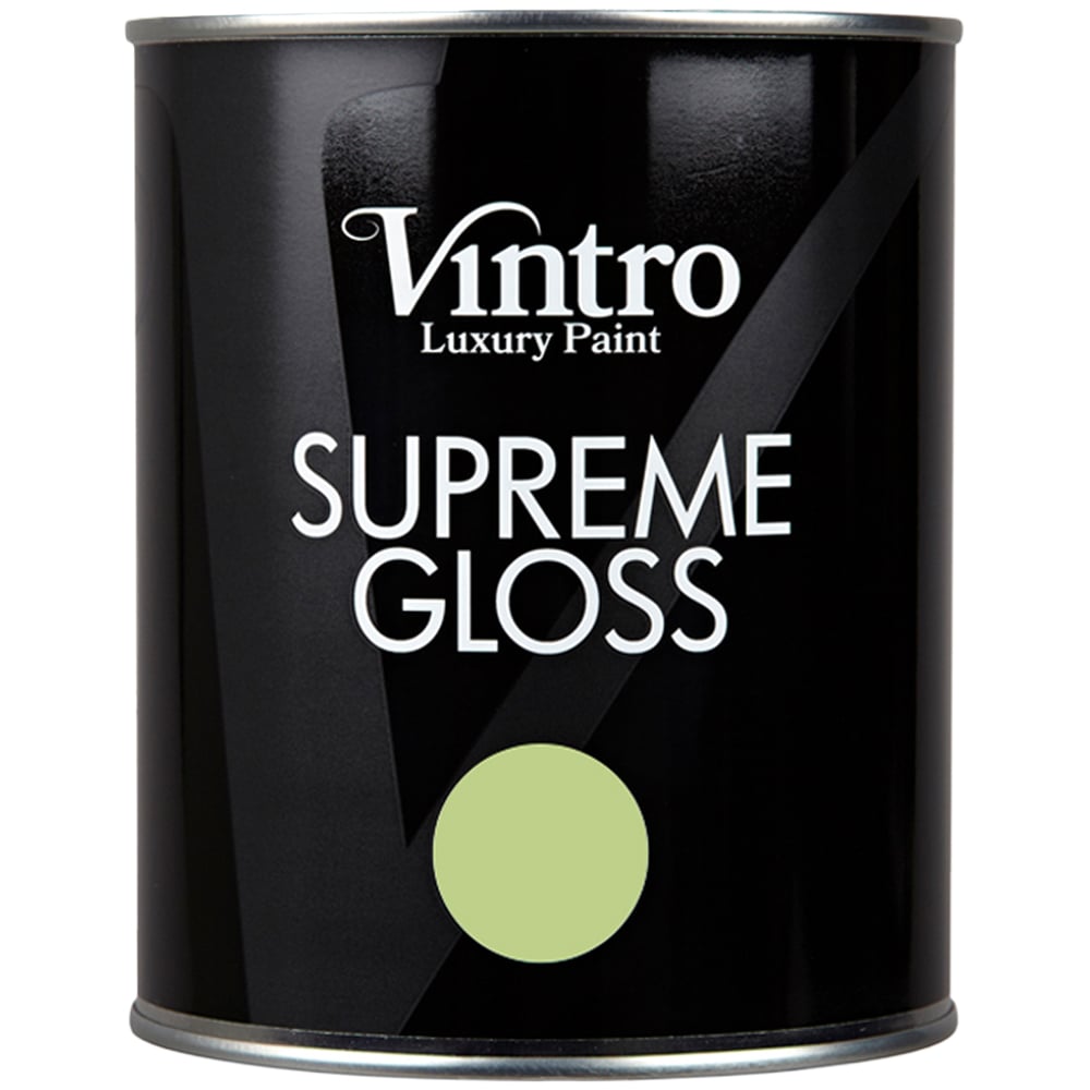 Vintro Paint Walls and Ceilings Eden Gloss Paint 1L Image 2