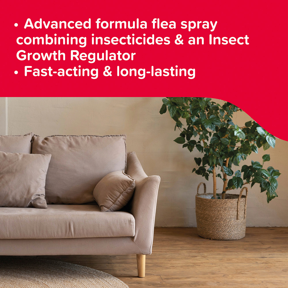 Beaphar FLEAtec Household Flea Spray Image 5