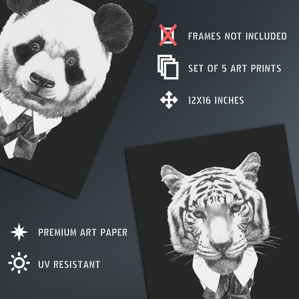 Artery8 Tuxedo Animals Print Wall Art 30 x 41cm 5 Pack Image 4