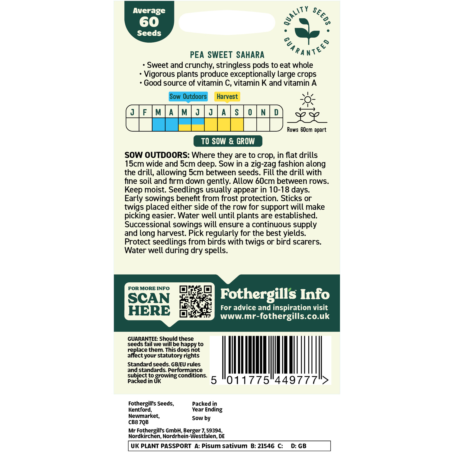 Pea Mangetout Seeds Image 2