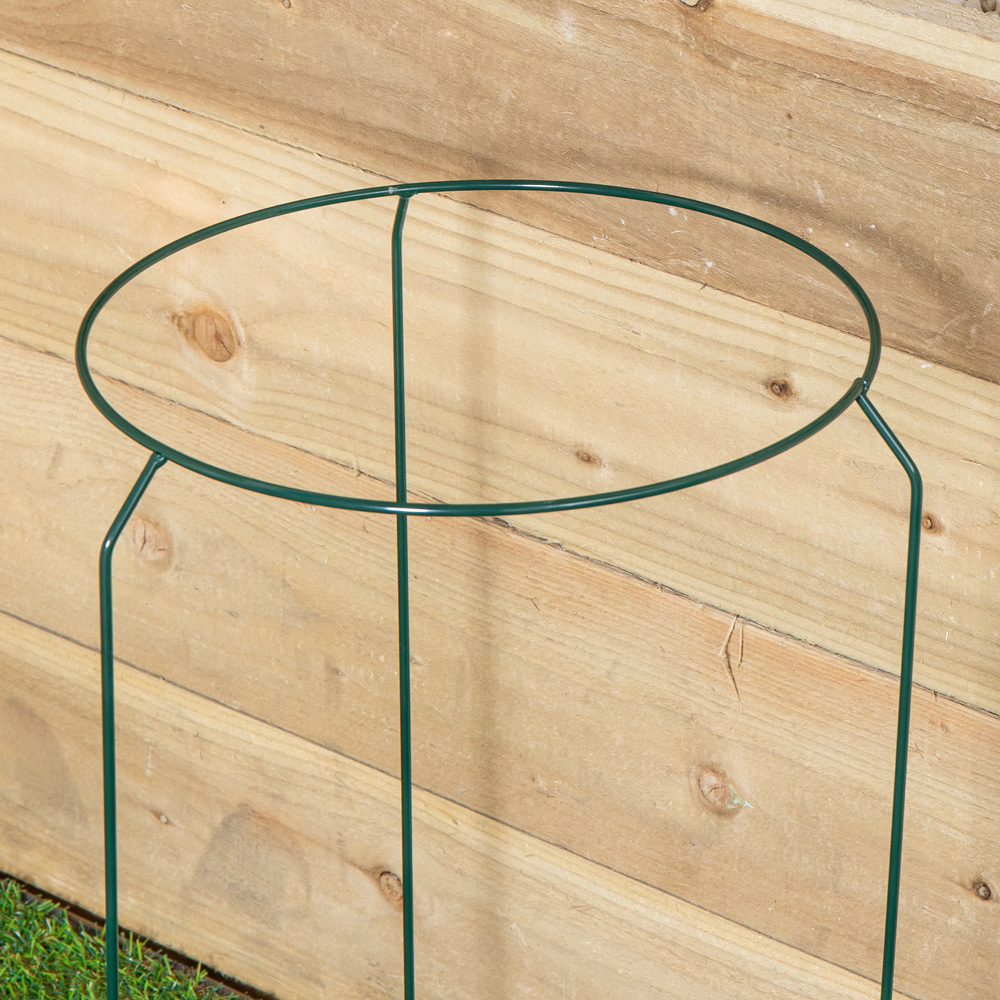 Samuel Alexander Urban Metal Herbaceous Plant Support Ring 30 x 50cm Image 6