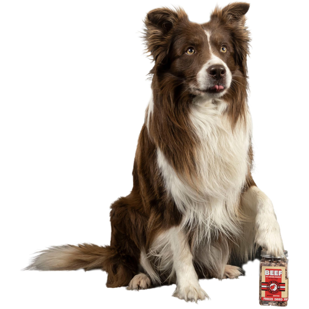 Kiwi Walker Freeze Chicken and Beef Dried Dog Treats 2 Pack Image 3
