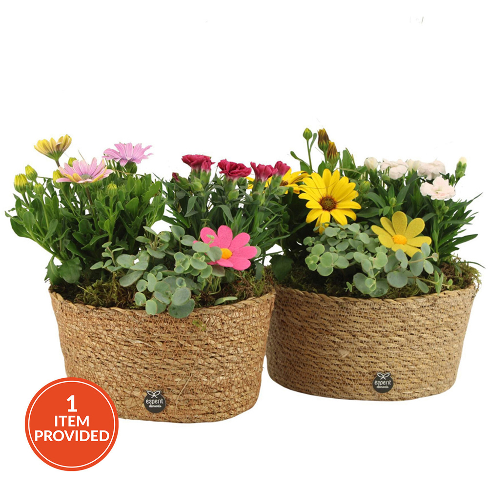 Flower Mix Wicker Basket Image 1