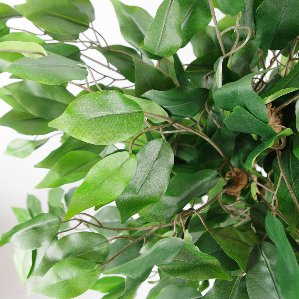Botanik Evergreen Bushy Ficus Realistic Artificial House Plant 2.9ft Image 3