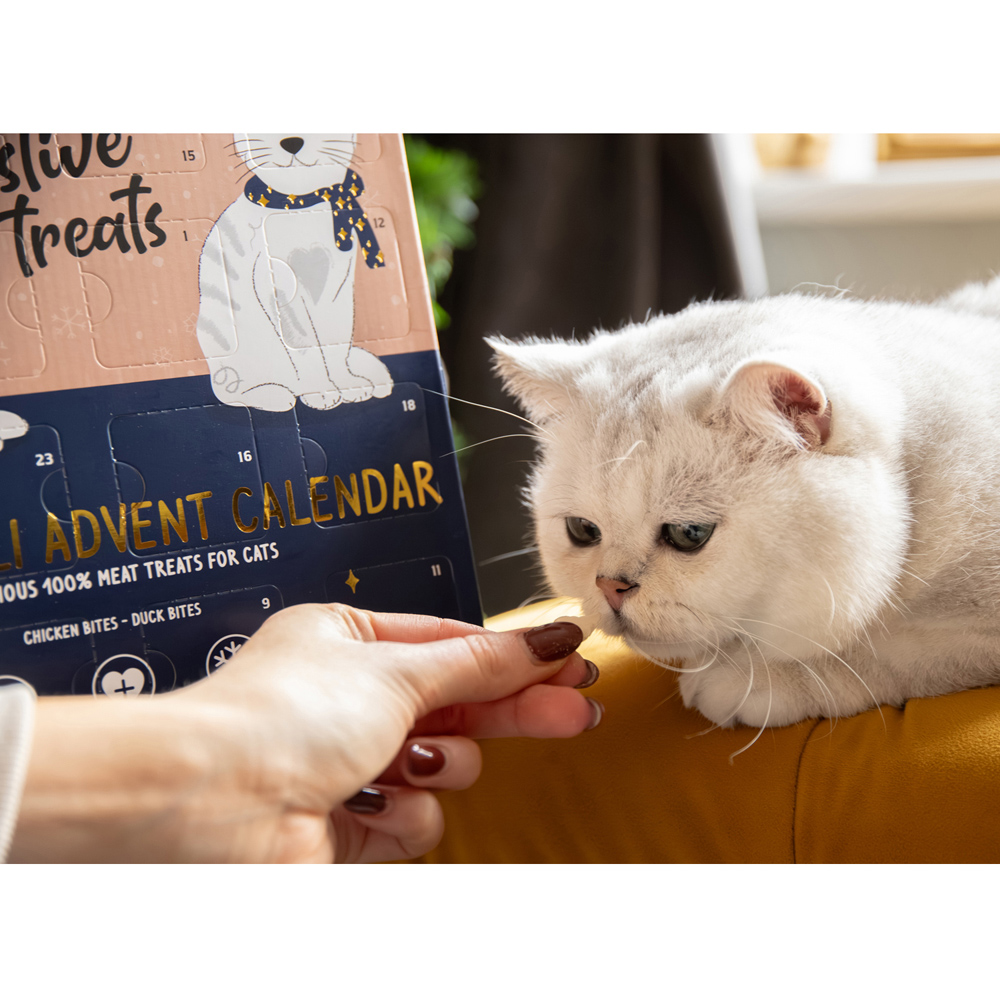 Luxury Deli Advent Calendar for Cats Image 5