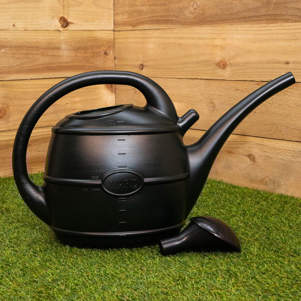 Samuel Alexander Ward Green Patio Watering Can with Rose 10L Image 2