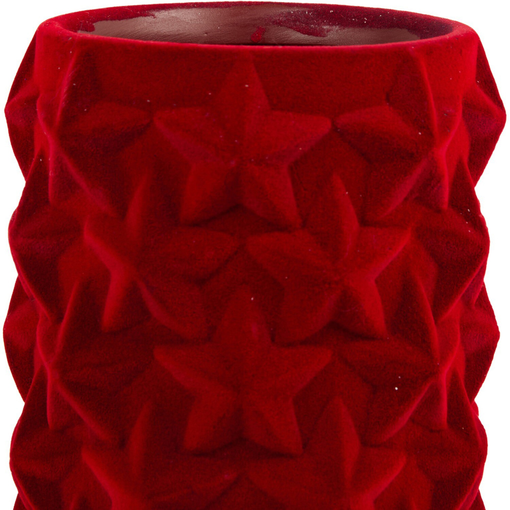 Flocked Star Pot Red Image 2