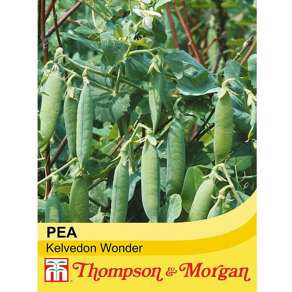 Thompson and Morgan Pea Kelvedon Wonder Seeds Image 2