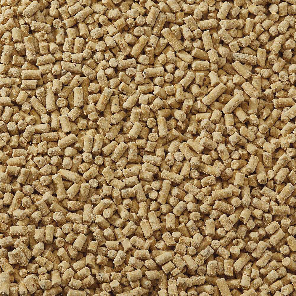 Happy Beaks Insect Suet Pellet Bird Food 25.5kg Image 4