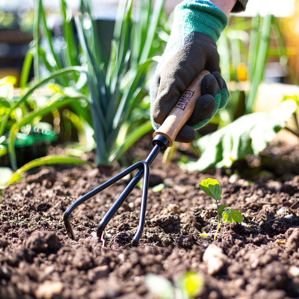 AMES Tools Carbon Steel Hand 3 Prong Cultivator Image 2