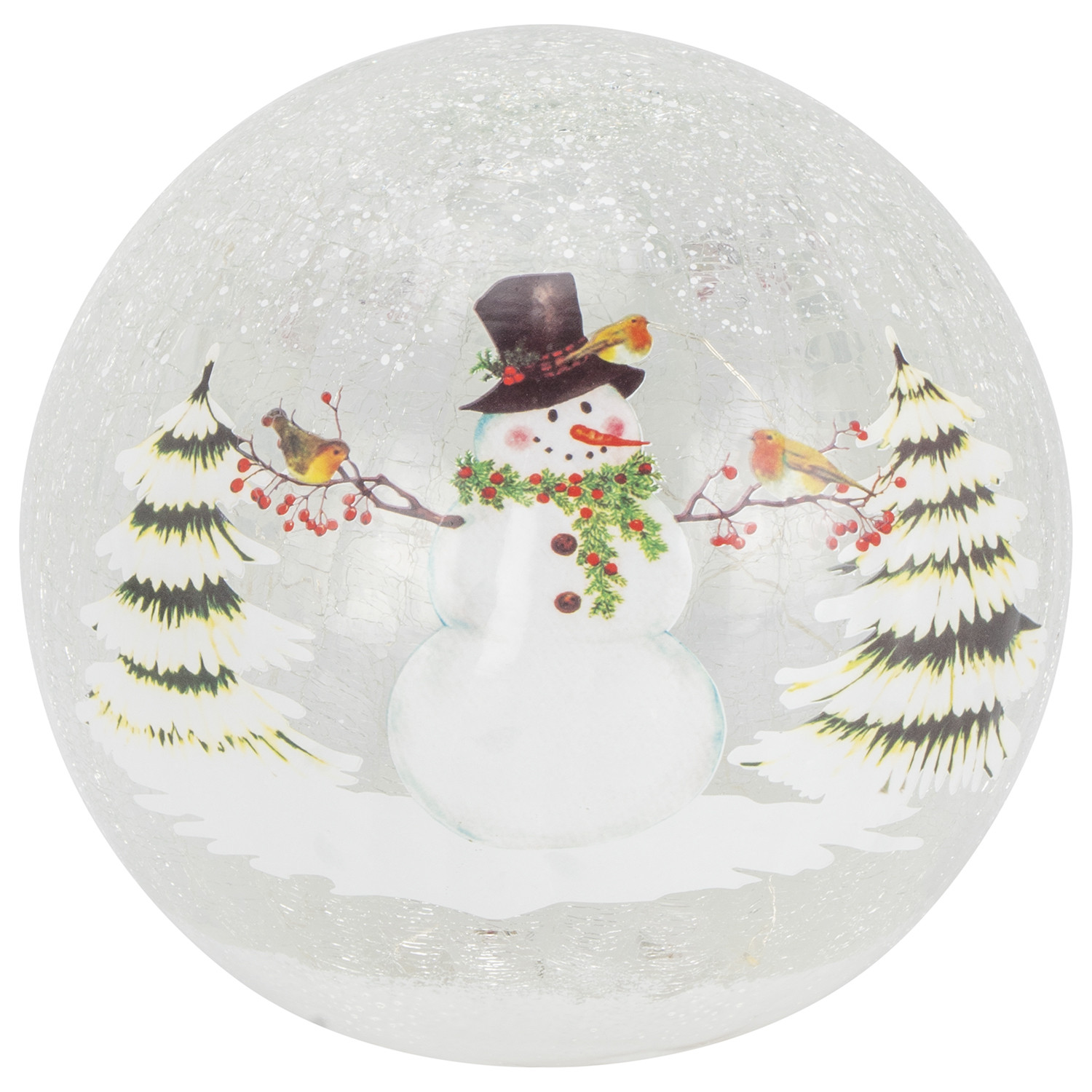 Frosted Snowman and Robin LED Ball Image
