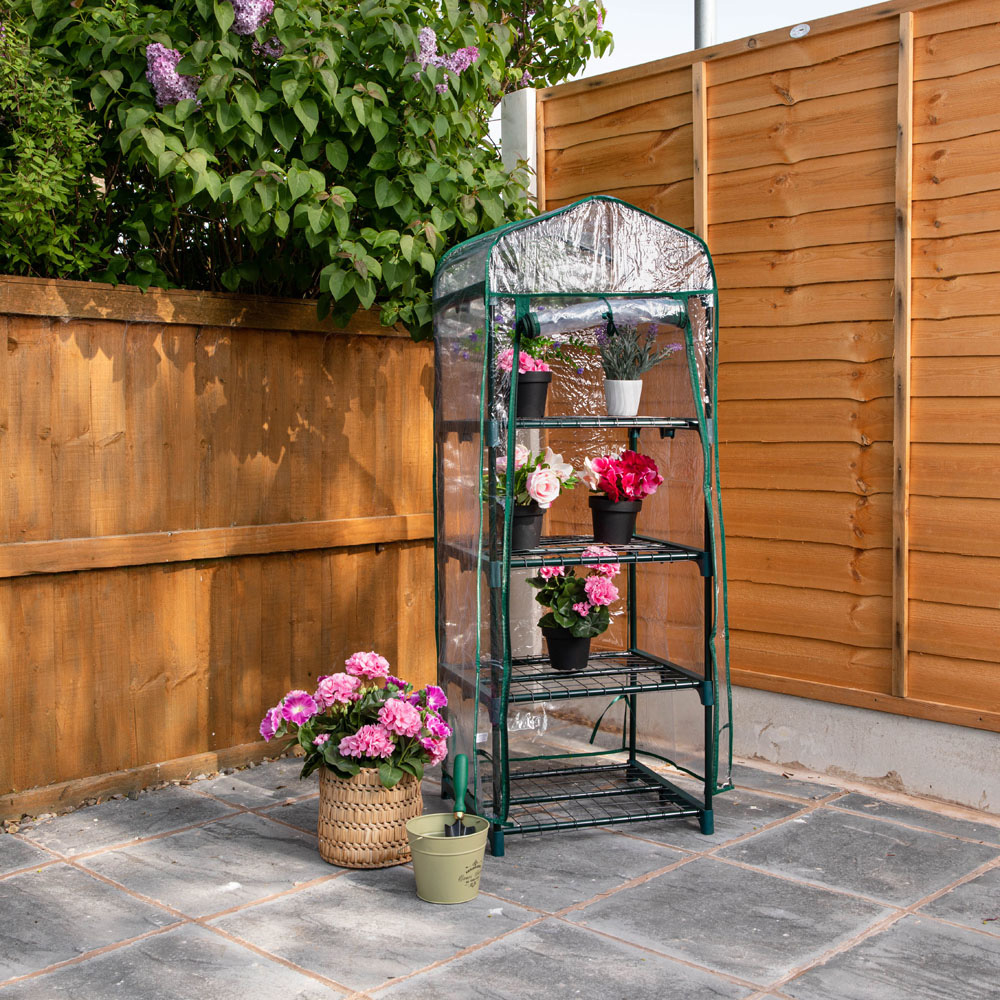 Samuel Alexander 4 Tier 3.2 x 1.6ft Greenhouse with Removable Cover Image 3
