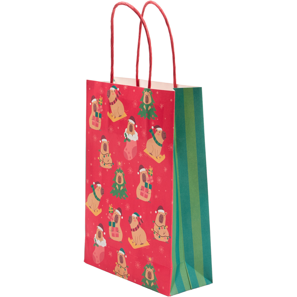 Pack of 10 Christmas Capybara Party Bags Image 6