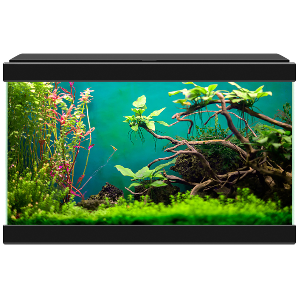 Ciano Aqua 20 Classic Black Aquarium 17L Image 2