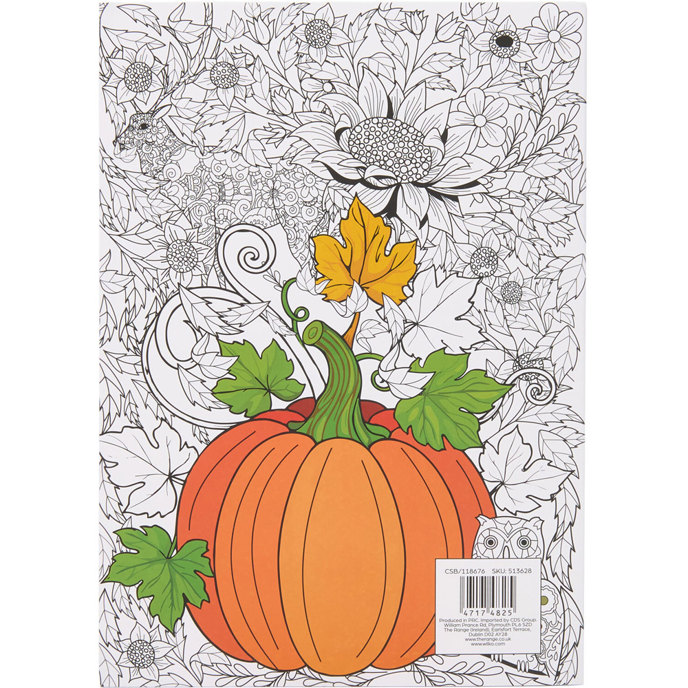 Autumn Mandala Colouring Book Image 2