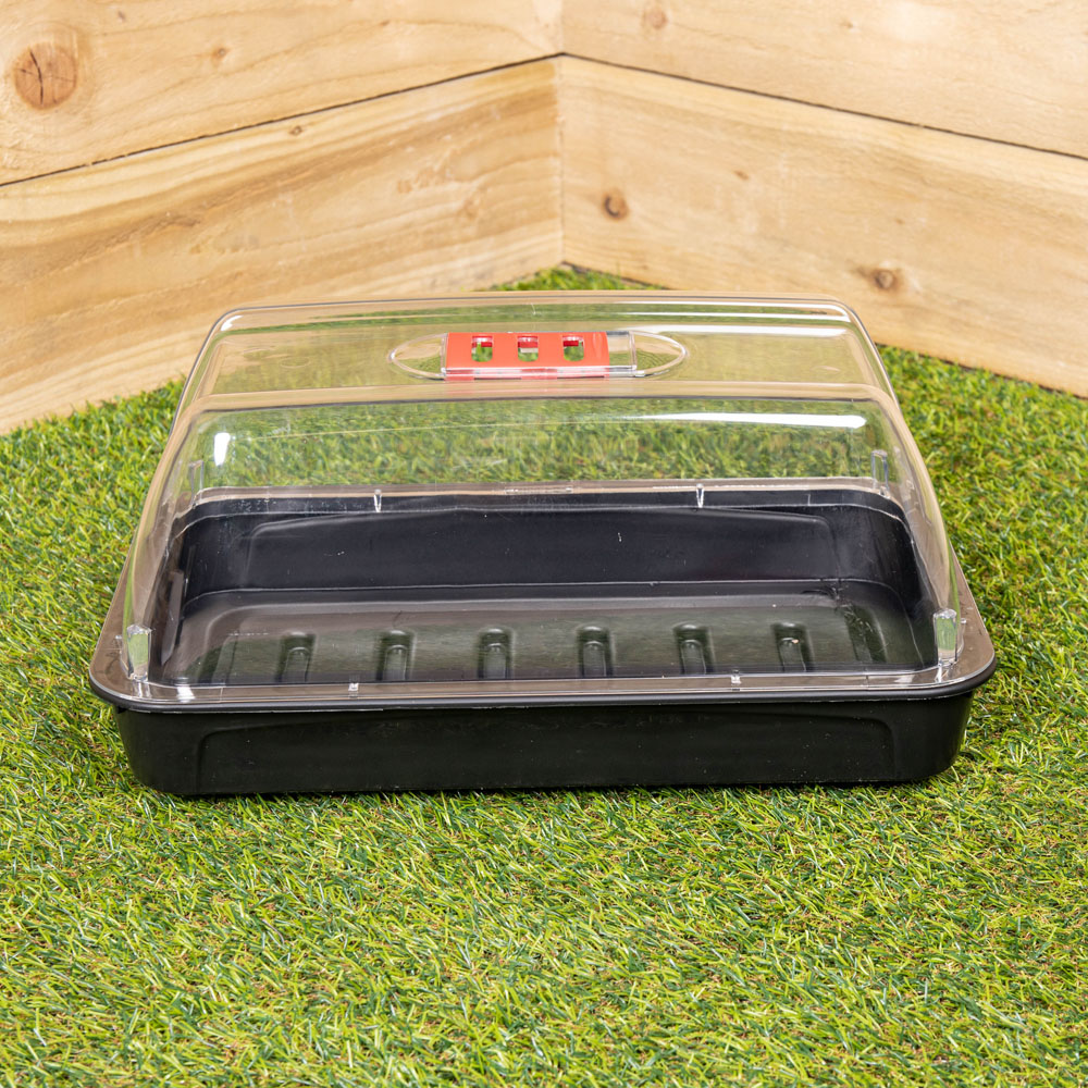 Samuel Alexander Sankey Seed Starter Tray Grostart Midi Propagator Kit Image 4