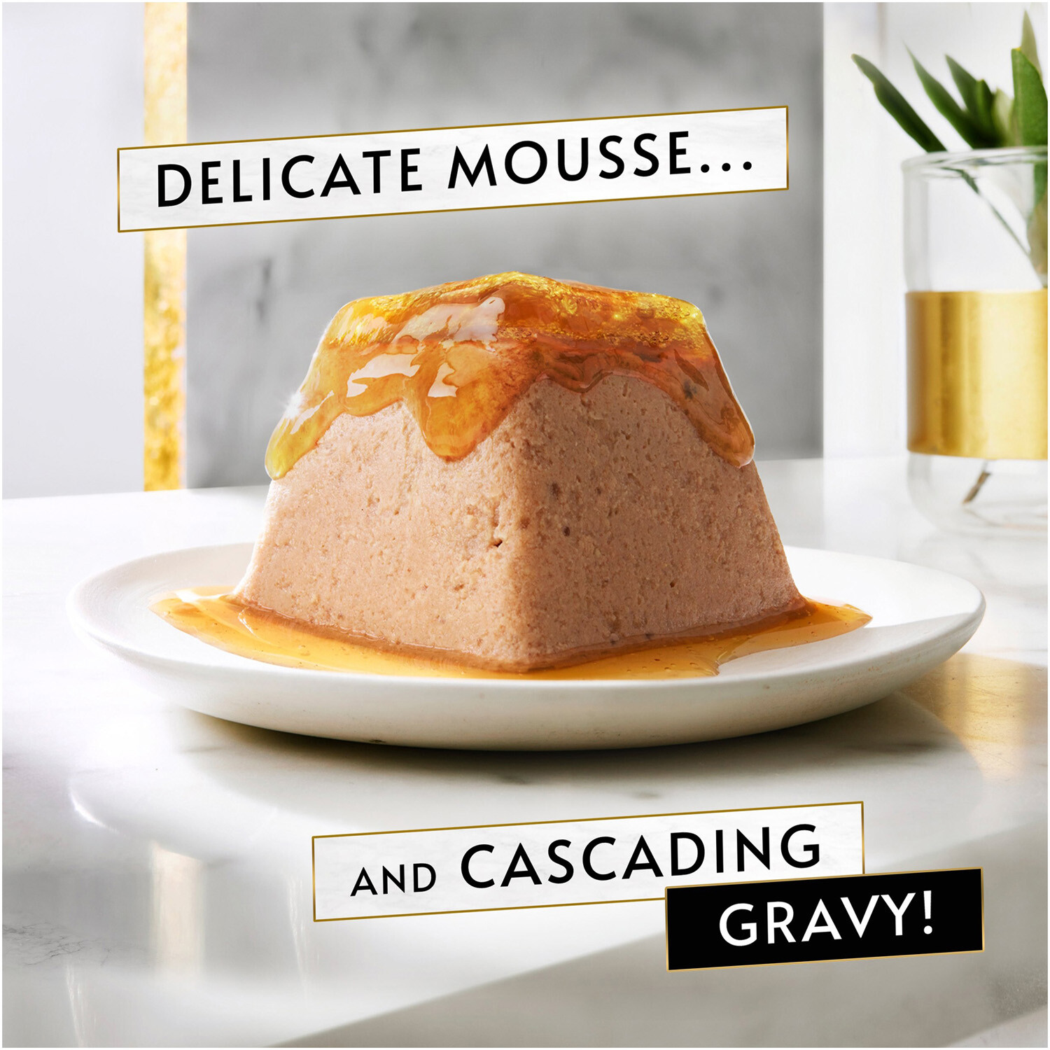 Gourmet Revelations Mousse with Tuna and Cascading Gravy Image 3
