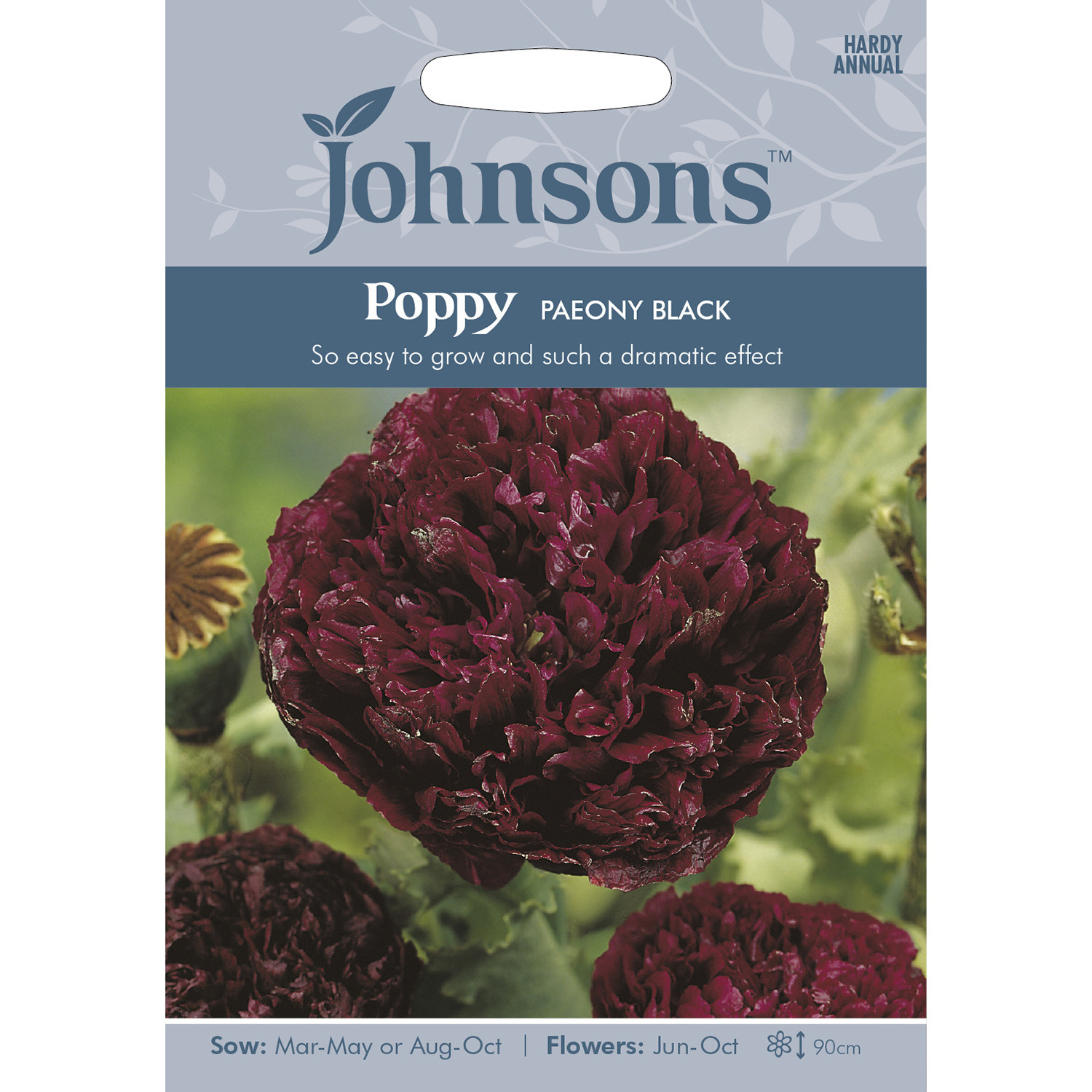 Johnsons Poppy Paeony Black Flower Seeds Image 2