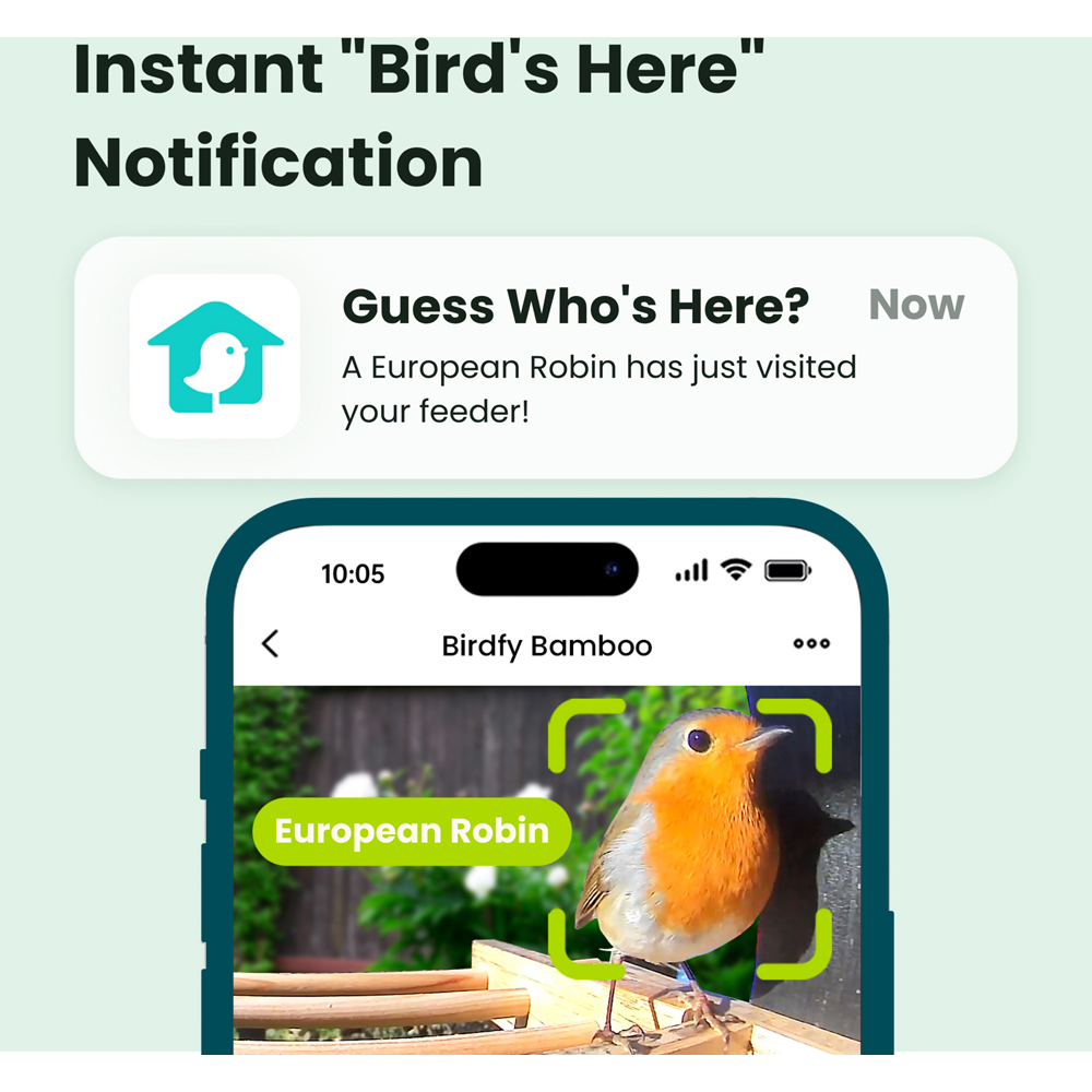 Birdfy Bamboo Smart Solar Roof Bird Feeder with 1080p AI Camera Image 7