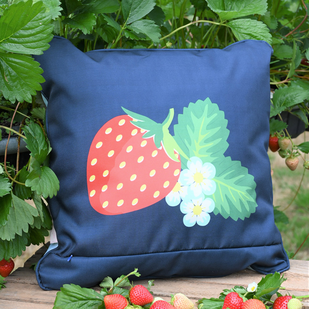 Summerhouse by Navigate Aqua Navy Strawberries and Cream Double Sided Cushion Image 4