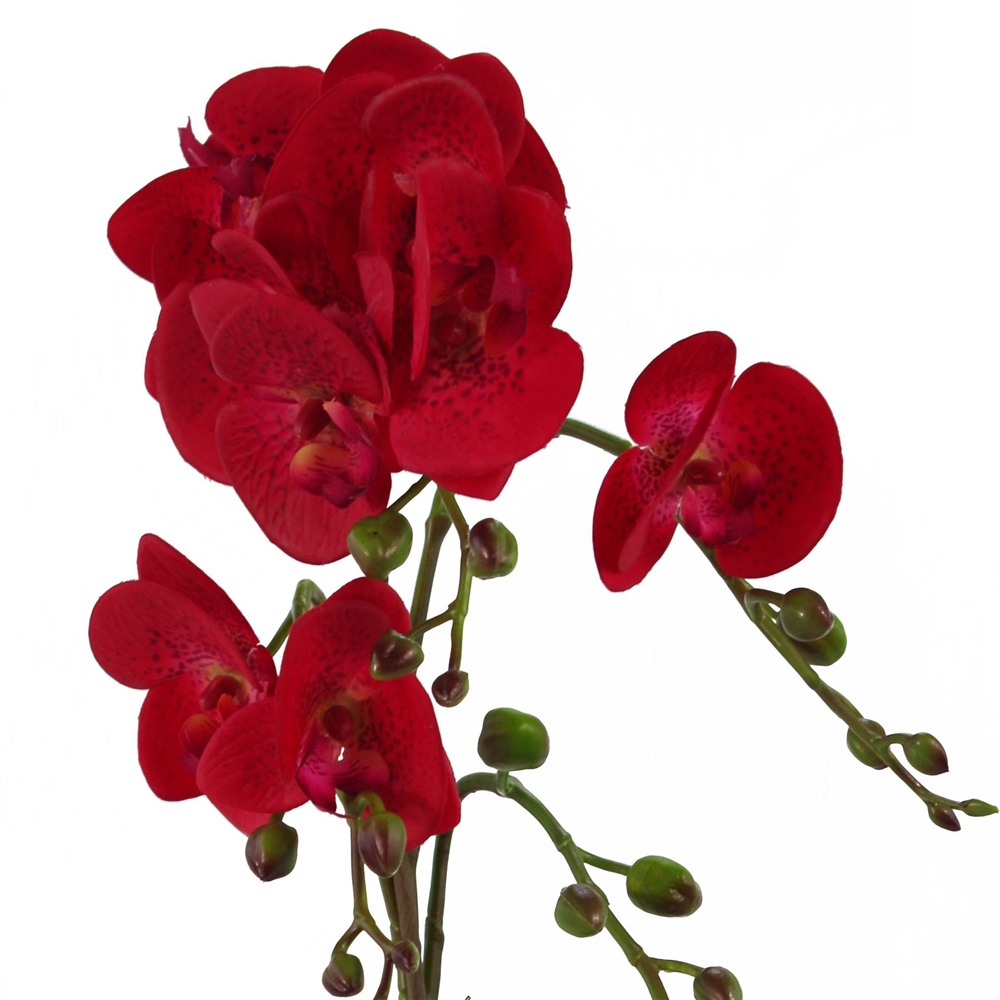 Leaf Red Leopard Phalaenopsis Orchid Artificial Plant with Gold Pot 50cm Image 3