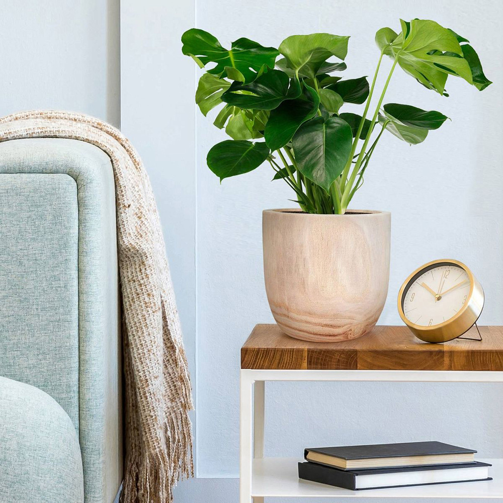 LECHUZA Hortico Radial Wooden Round Indoor Plant Pot 24 x 26cm 2 Pack Image 6