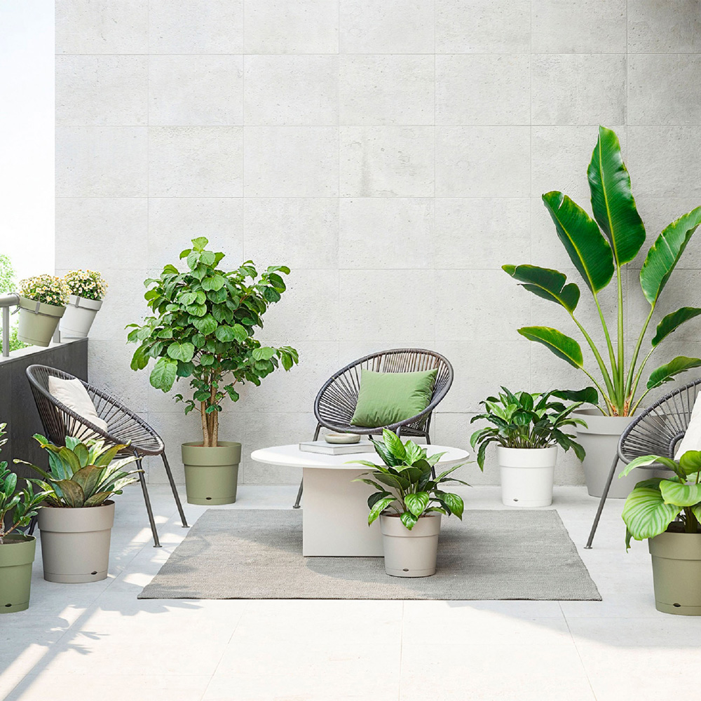 Artevasi Capri Ash Green Wide Pot 40cm Image 2