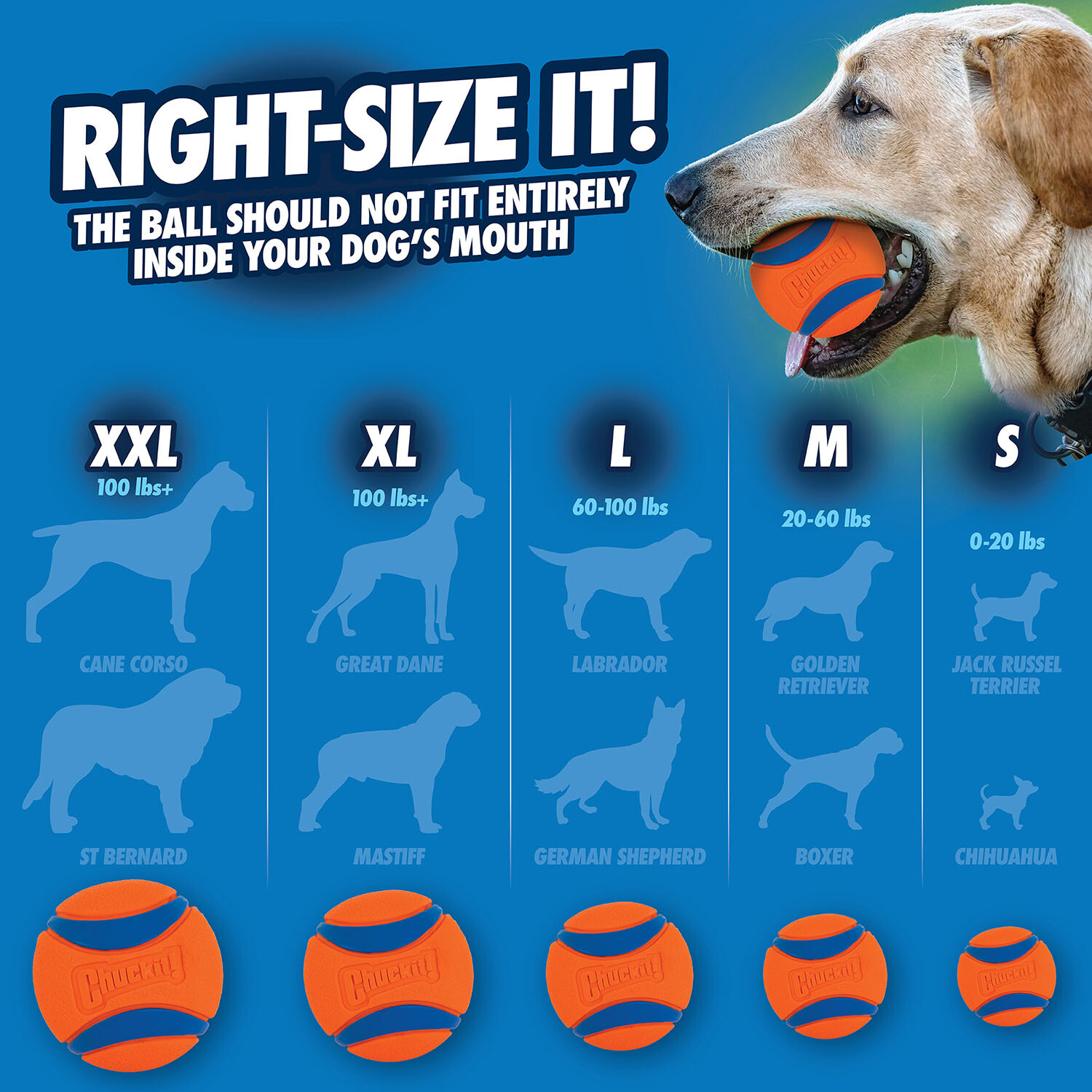 Pack of 2 Chuckit! Ultra Balls Orange and Blue Medium Image 7