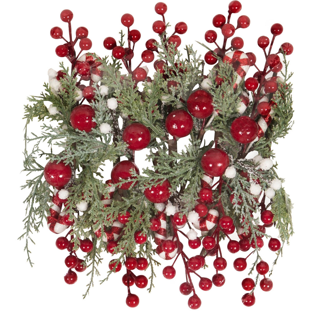 Pack of 10 Candy Cane Floristry Picks Image 1