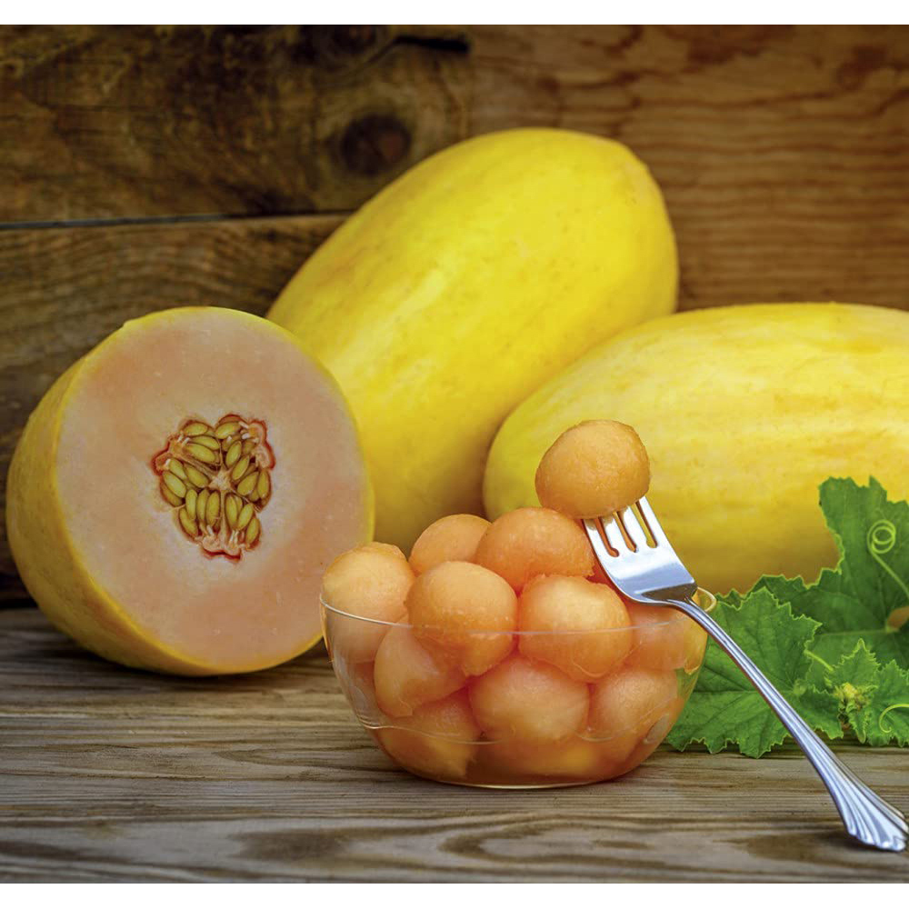 Thompson & Morgan Melon Mangomel F1 Seeds Image 3