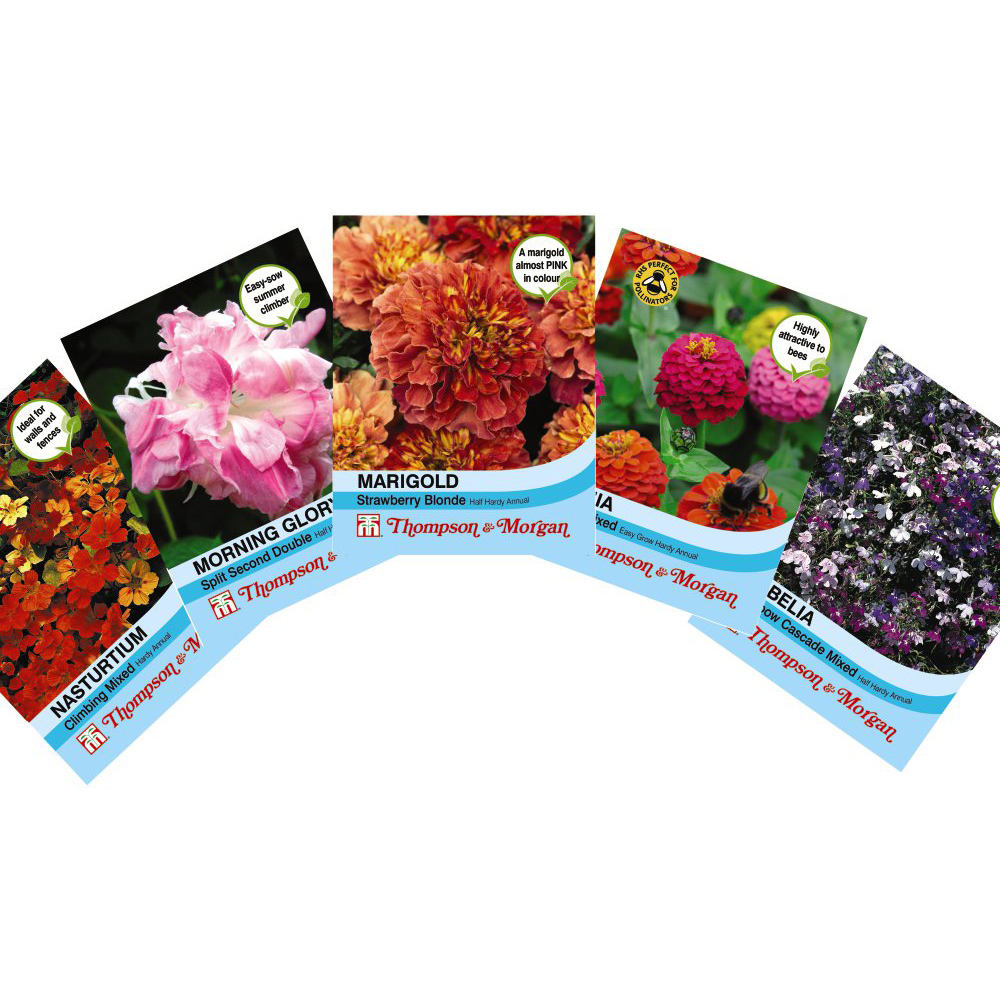 Thompson and Morgan Container Collection Mixed Plant Plug 24 Pack with Flower Seed 5 Pack Image 2