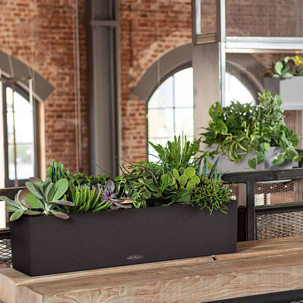 Lechuza Balconera Colour 80 Stone Grey Self-Watering Planter 19cm Image 5