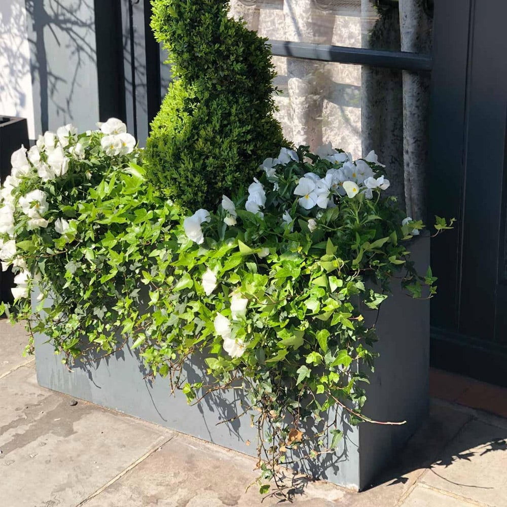 wilko Trough Grey Light Concrete Outdoor Planter 37.5cm Image 5