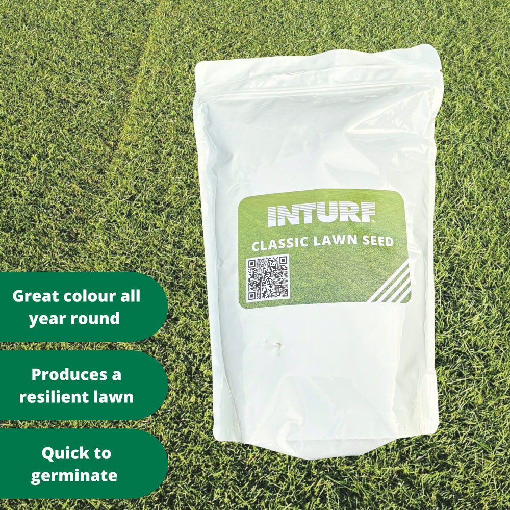 Inturf Grass Seed Bag 1kg Image 3