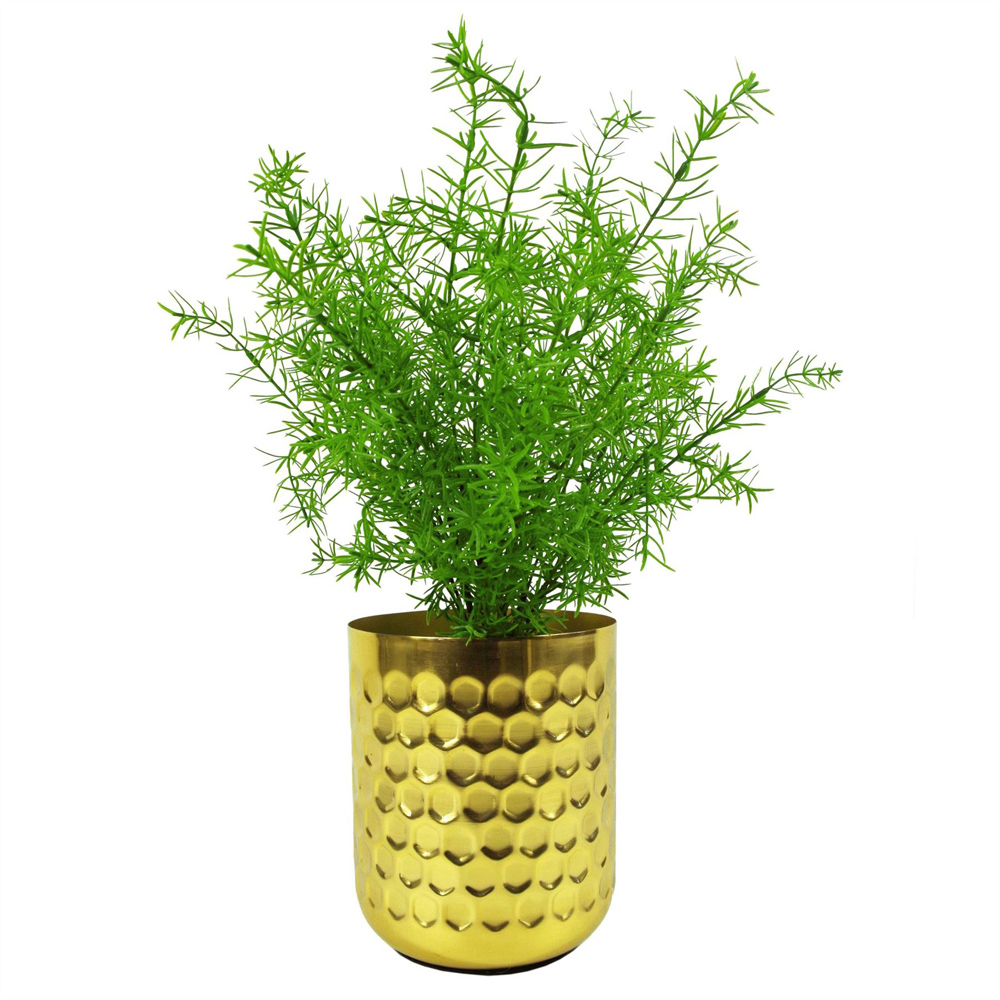 Leaf Asparagus Fern Artificial Plant 45cm 6 Pack Image 2