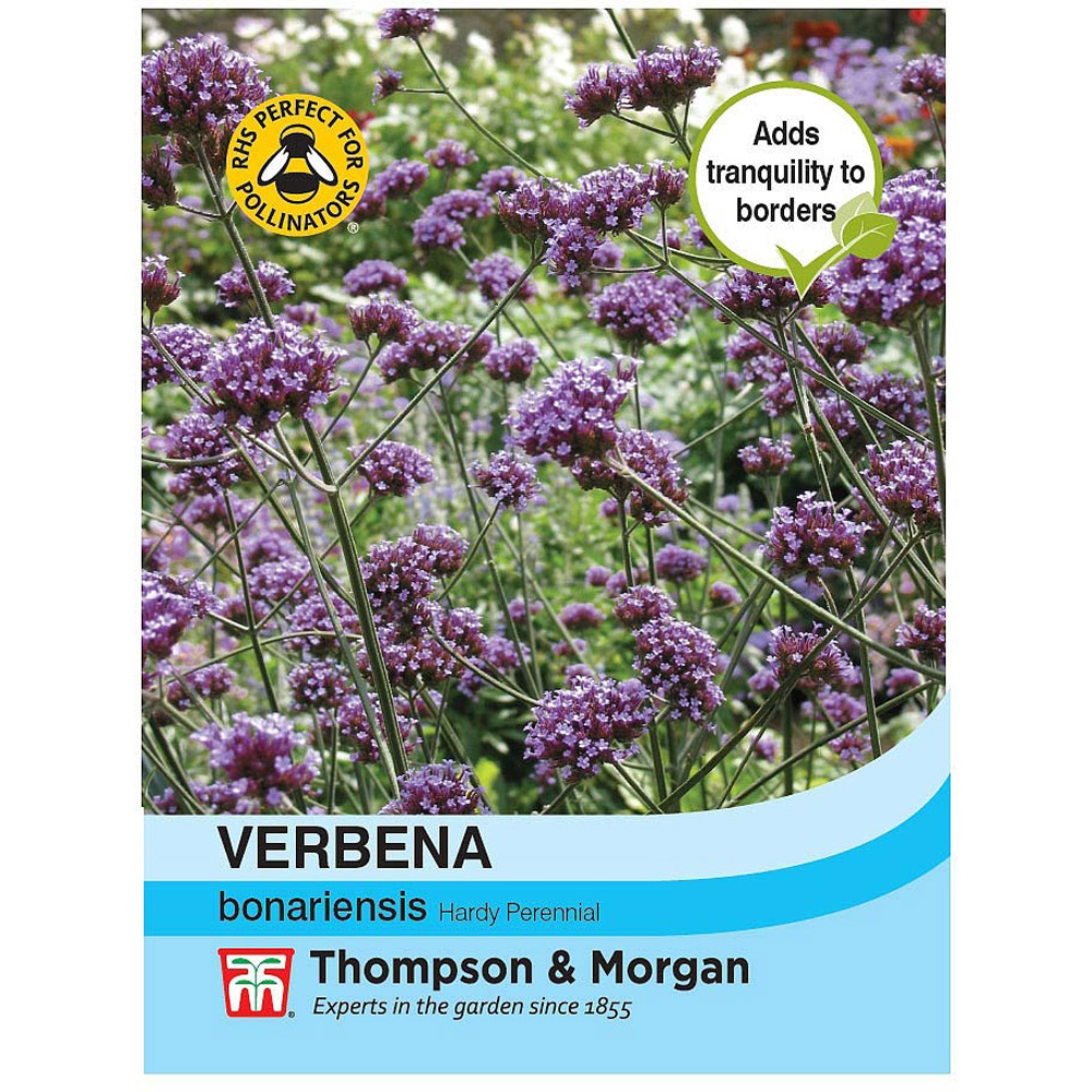 Thompson & Morgan Verbena Bonariensis Seeds Image 3