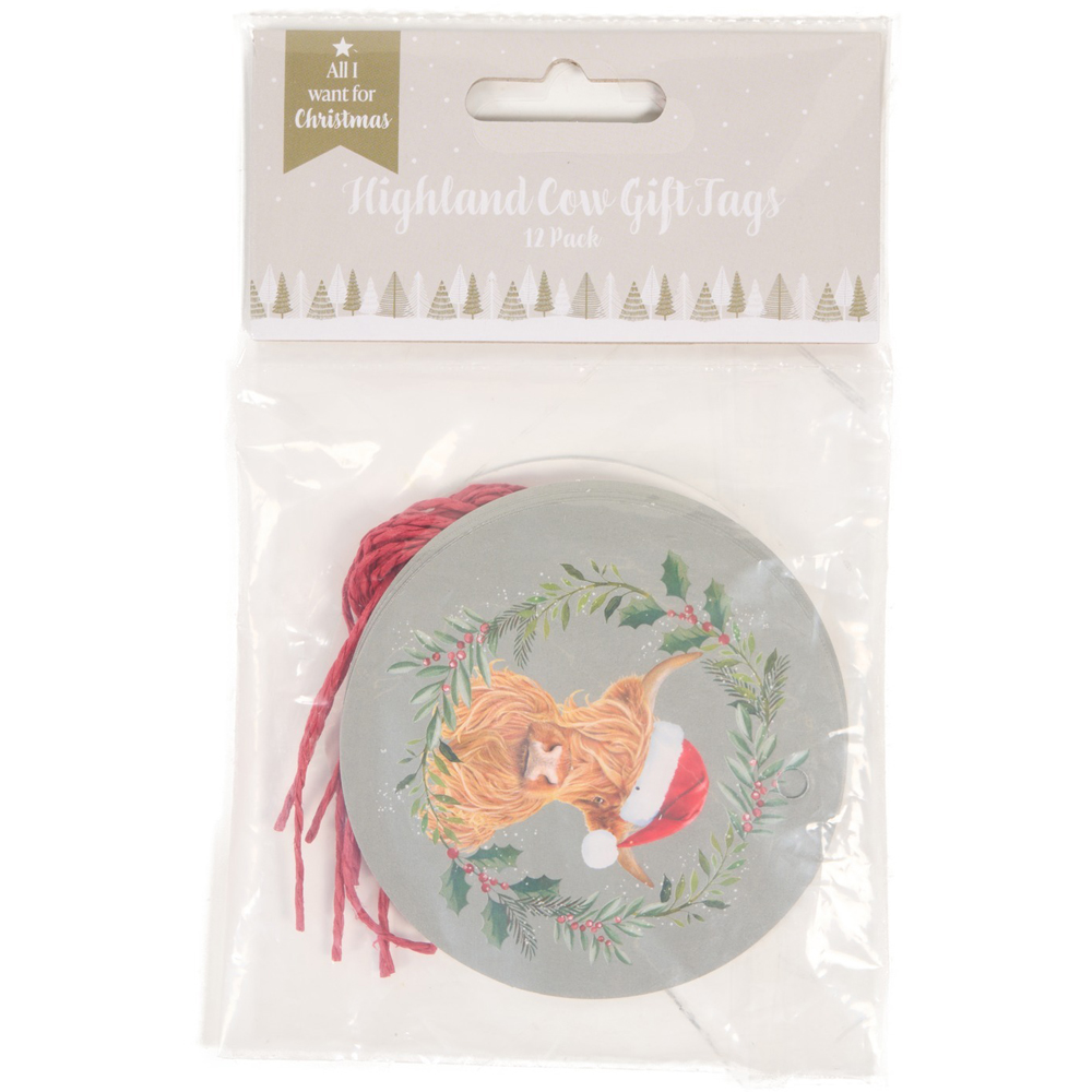 Pack of 12 Highland Cow Design Gift Tags Image 4