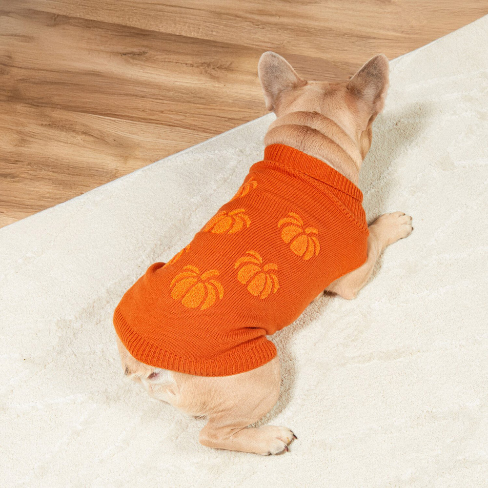 Pumpkin Jumper Orange 34cm Image 6