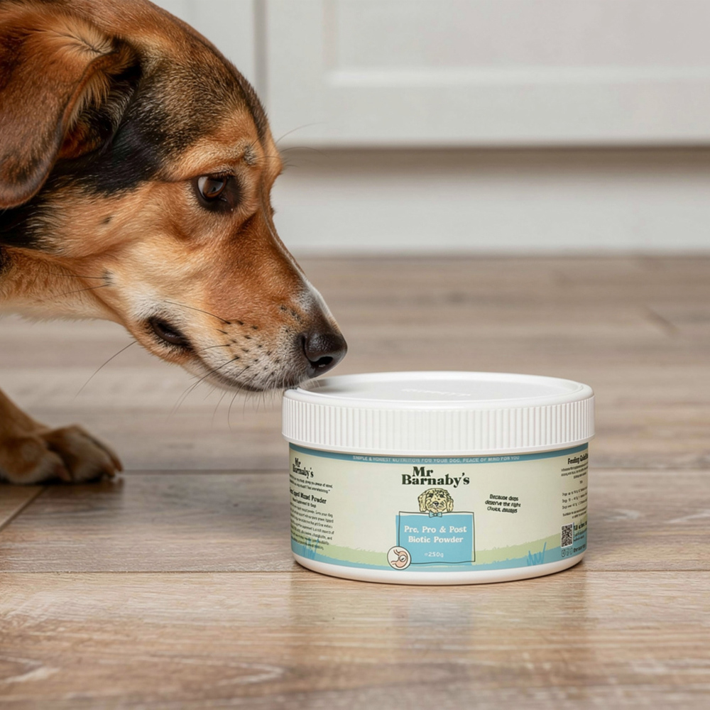 Mr Barnaby's Health and Support Dog Bundle Image 2